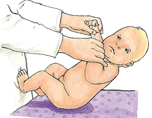 12 Schritte vom Säugling zum Kleinkind, eine spannende Zeit 