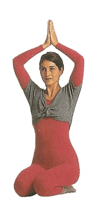 Rückbildung die 4 wichtigsten Übungen zur Rückbildung und 4 wichtige Übungen für die Brust