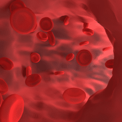 Nabelschnurblutspende und Stammzellentransplantation
