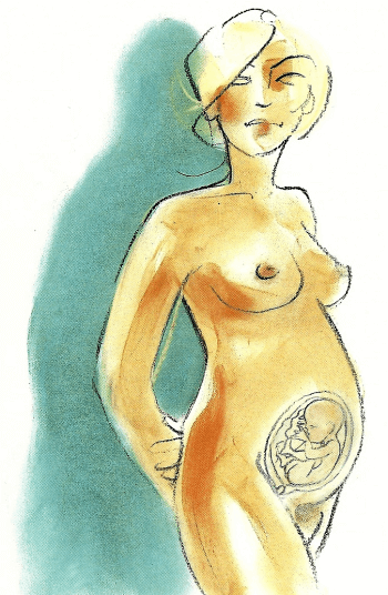 Schwangerschaft Sechster Monat von der 21 bis zur 24 Woche