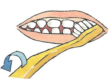 Zahnen Zahnpflege und Zahnschmerzen des Babys